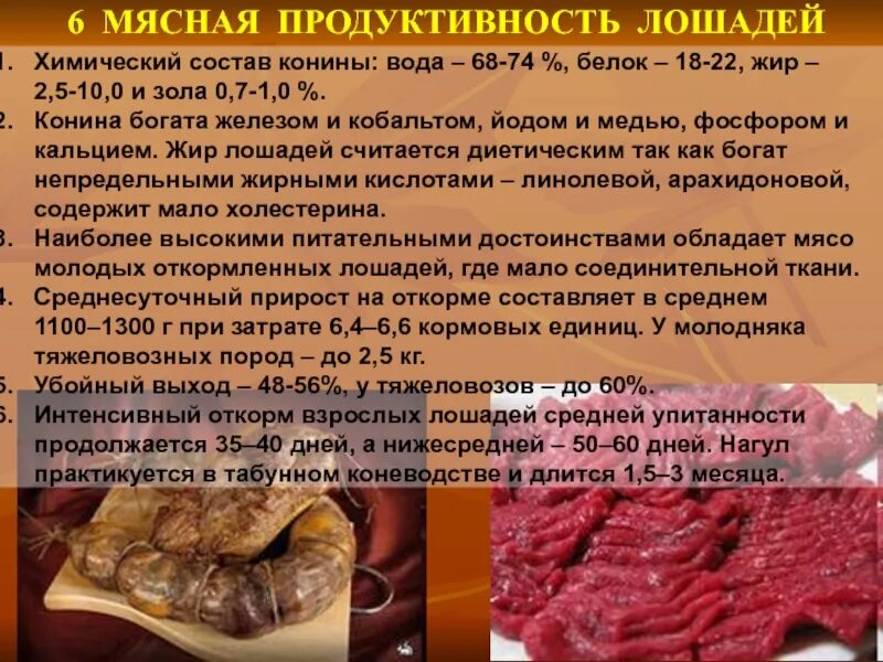 Лошади молочной продуктивности породы. Особенности молочной и мясной продуктивности лошадей. Мясная продуктивность лошадей кратко. Роль лошади в жизни башкир. Продуктивность лошадей.