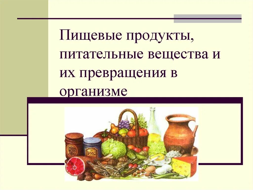 Пищевые вещества продуктов питания. Пищевые продукты питательные вещества и их превращения в организме. Питательные вещества презентация. Пищеварение питательные вещества и пищевые продукты. Питательные вещества питательные продукты.