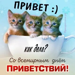 Привет на дне песня