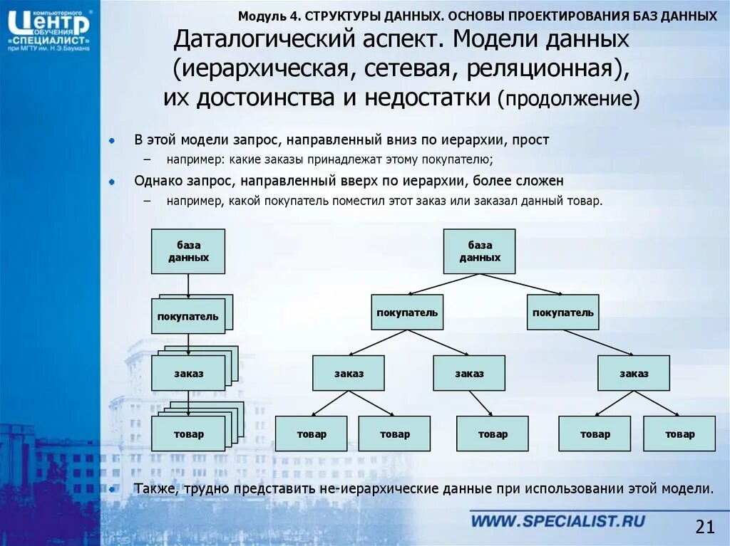 Иерархические и сетевые структуры. Иерархические и сетевые структуры