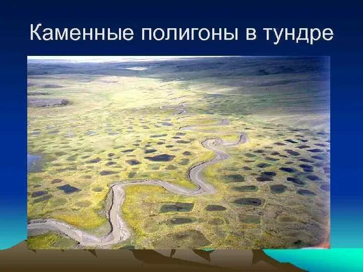 Типичный внешний облик зоны пустыни. Внешний облик зоны тундры. тундра презентация. тундра безлесная зона. холодная безлесная равнина.