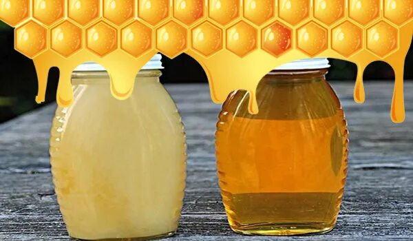 Жидкий мед. Жидкий и густой мед. Жидкий и кристаллизованный мед. Мед прозрачный жидкий. Почему мед твердый