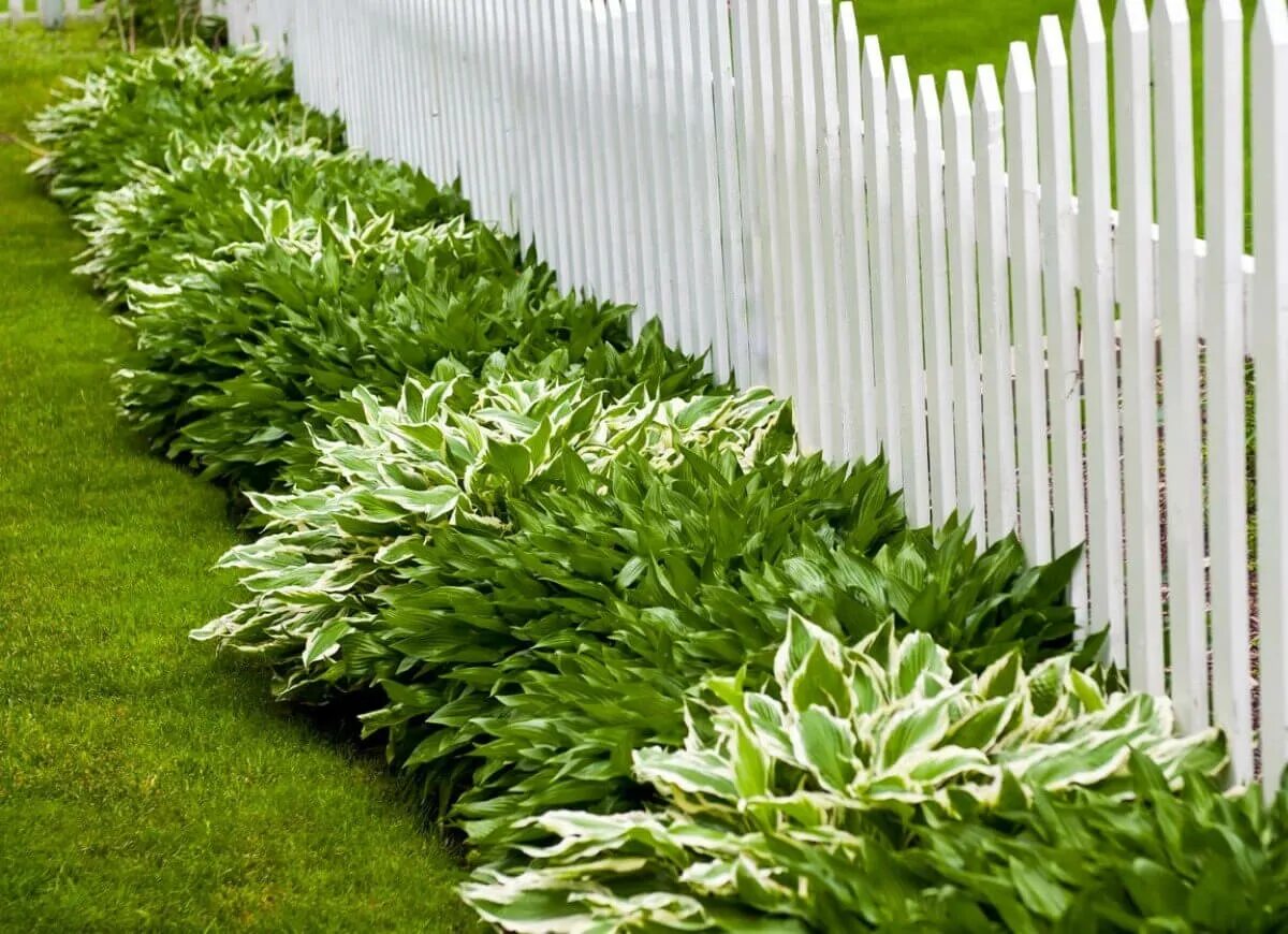 Covering ground