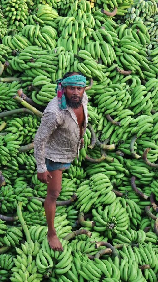 Продаю бананы людей. Человек банан. Продаю бананы людей фото. Торгую бананами. Бананы продаю шучу