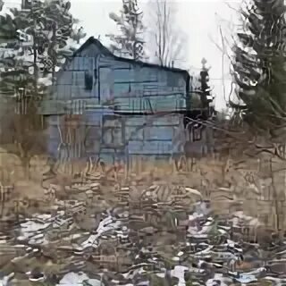 Снт восход тверская область