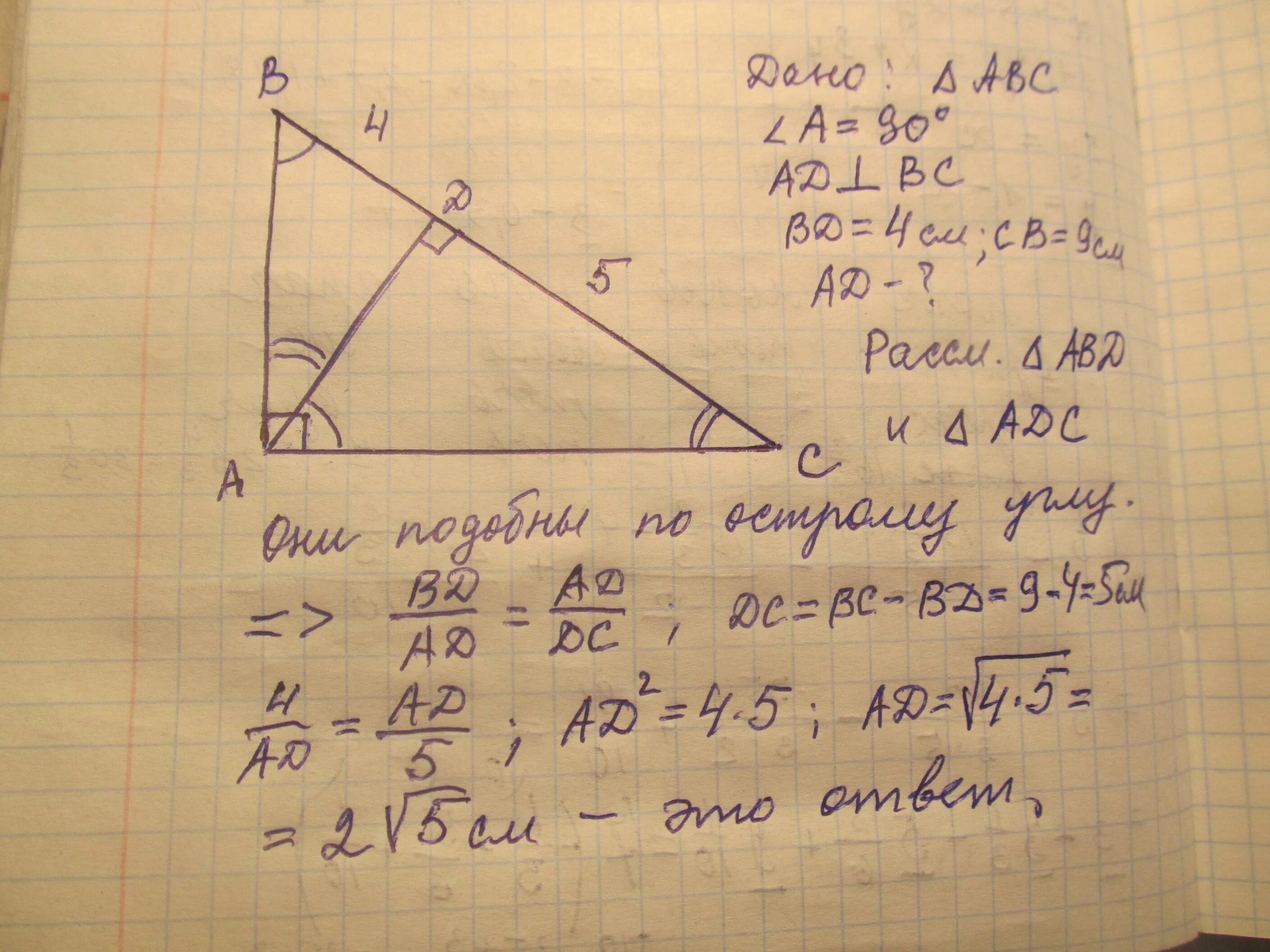 Прямоугольный треугольник ABC. Высота в прямоугольном треугольнике углы. Высота из прямого угла прямоугольного треугольника. Высота из вершины прямого угла прямоугольного треугольника.