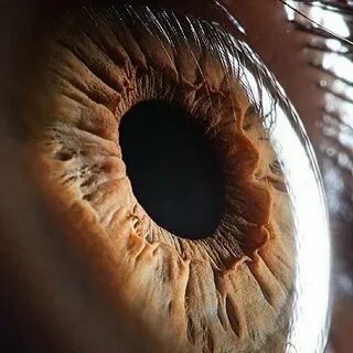 Eye hole