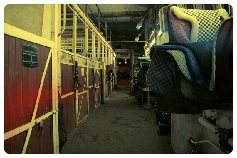 Переславль кск святово. Автосервис скудерия. Конюшня липецк автосервис. Кск ивановское конюшня. Мойка для лошадей в конюшне.