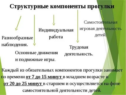 Компоненты прогулки в детском