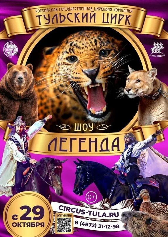 Эти удивительные животные игровое мероприятие. Цирк волгоград афиша. Цирк ставрополь афиша. Цирк афиша на март 2024. Цирк удивительных зверей волгоград.