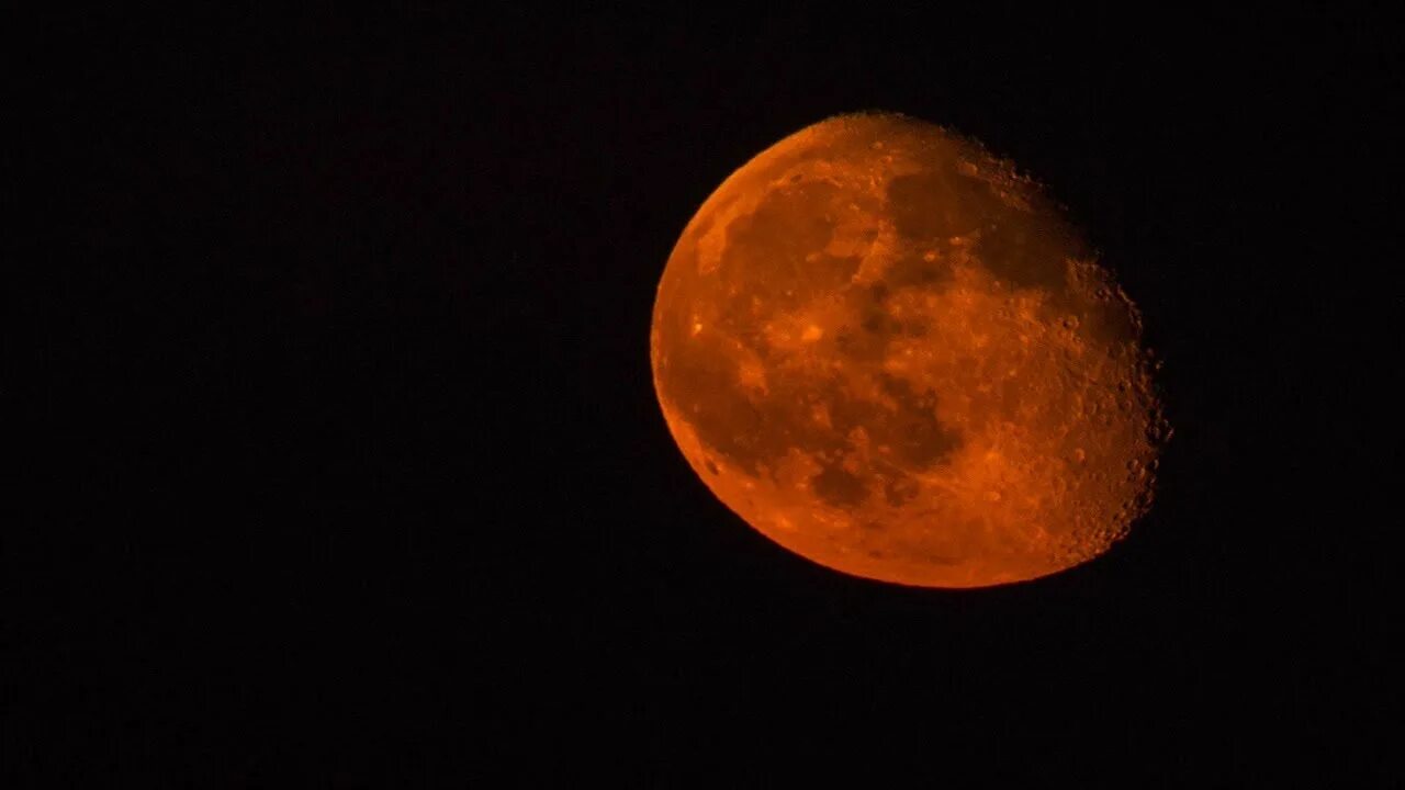 Большая оранжевая луна. Оранжевая Луна. Луна оранжевого цвета. Оранжевая полная Луна. Кровавая Луна.