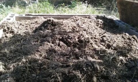 Выращивание помета