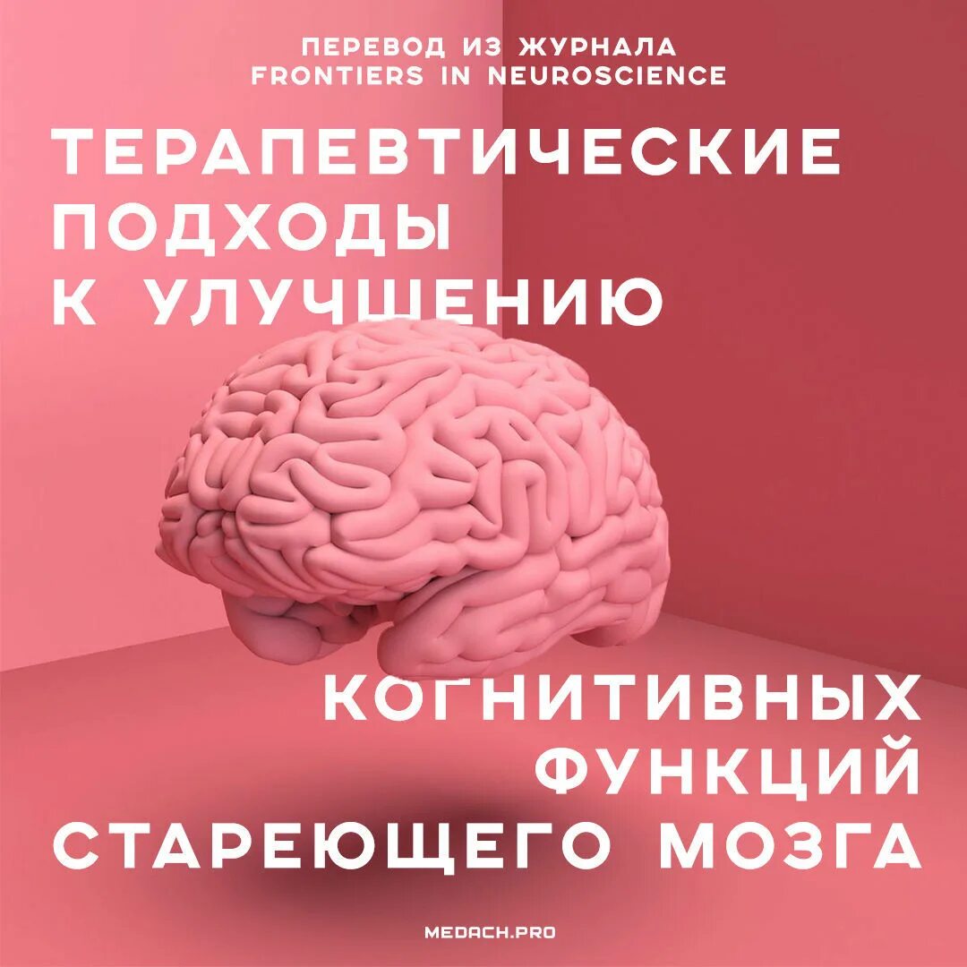 Нестареющий мозг. Старение мозга. Мозг и цифры. Легкая деменция. Стимулы для мозга.