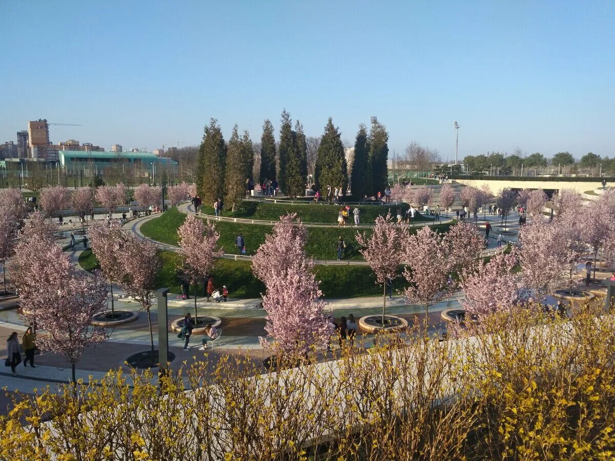 Парк Галицкого в Краснодаре весной. Зимний парк Галицкого. Парк в Краснодаре весной розовый.