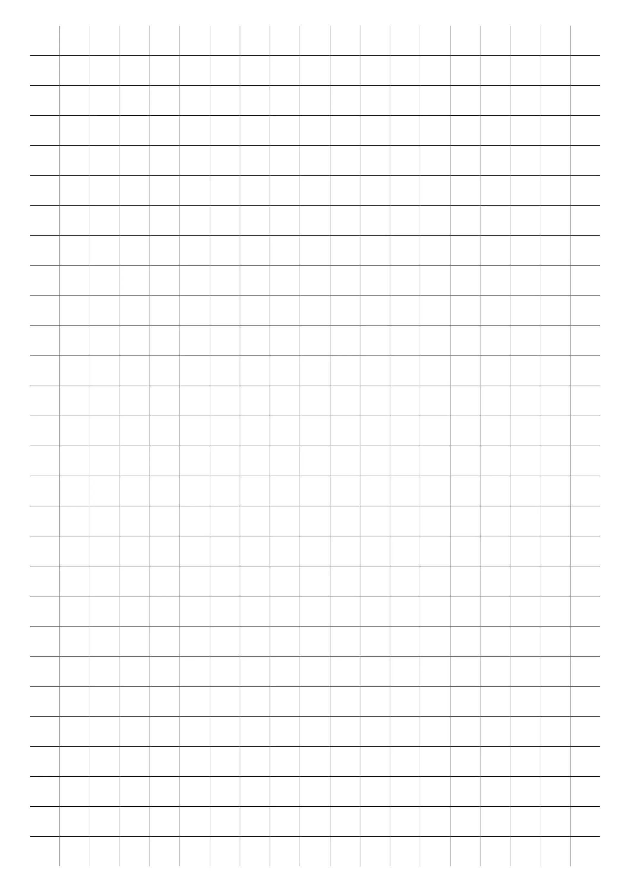 Клетка лист. Сетка миллиметровка а4. Клетка 5мм на 5мм на а4. Клеточки тетрадные а4. Разлиновка листа а4 в клетку.