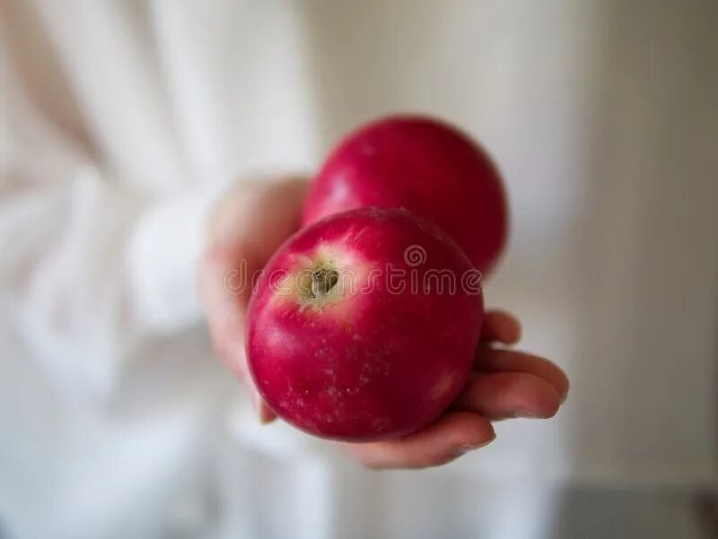 К чему снятся видеть яблоки женщине. Приснилось яблоко красное. Яблоко в женской руке. Красное яблоко в руке. К чему снятся красные яблоки.