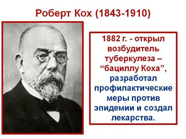 Ответ коха. Ответ коха