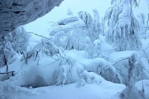 Под снежной