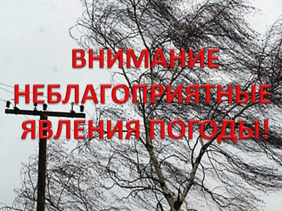 Гроза летом. Удивительные явления природы. Плохие погодные условия. Неблагоприятные явления. Явление погоды сегодня.