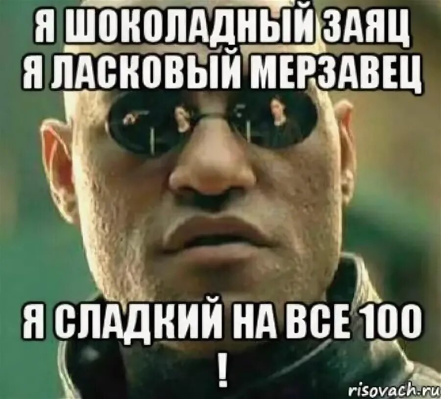 Шоколадный заяц 1. Я шоколадный заяц. я шоколадный заяц я ласковый мерзавец. шоколадный заяц песня. я шоколадный заяц мем.