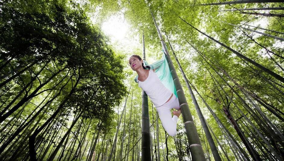 Свежего воздуха род. Йога в гамаках на природе. Фотосъемка в бамбуковом лесу. Фотосессия с гамаком для йоги на природе. Воздушная йога на природе.