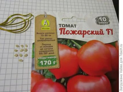 Семена пожарского