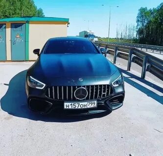Акула литвина