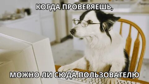 The dog is behind the table