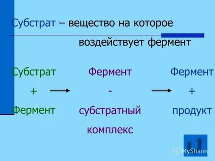 Субстрат вещество