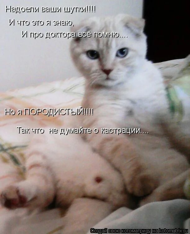 афоризмы об одиночестве среди людей. чужое мнение. прикольные таблички в туале. ироничные цитаты из книг. уважайте мнение других.