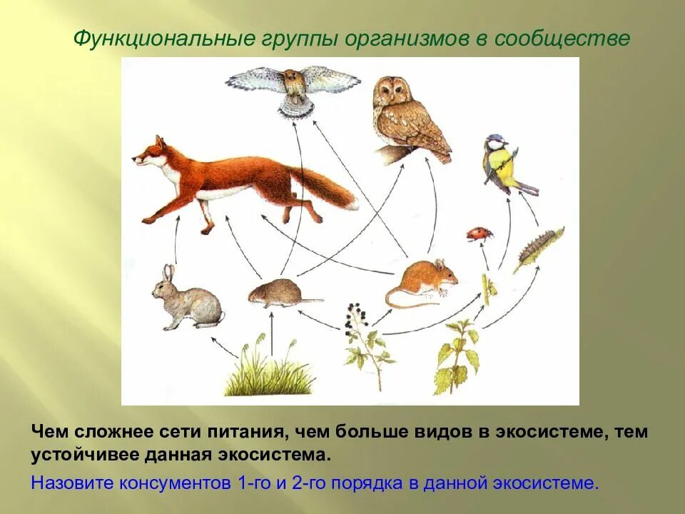 Более устойчивее