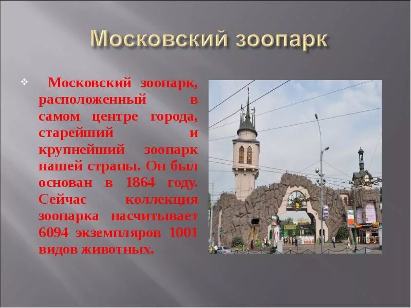Зоопарк сообщение 2 класс. Московский зоопарк 2 класс. московский зоопарк доклад. московский зоопарк доклад 2 класс окружающий мир. московский зоопарк рассказ.