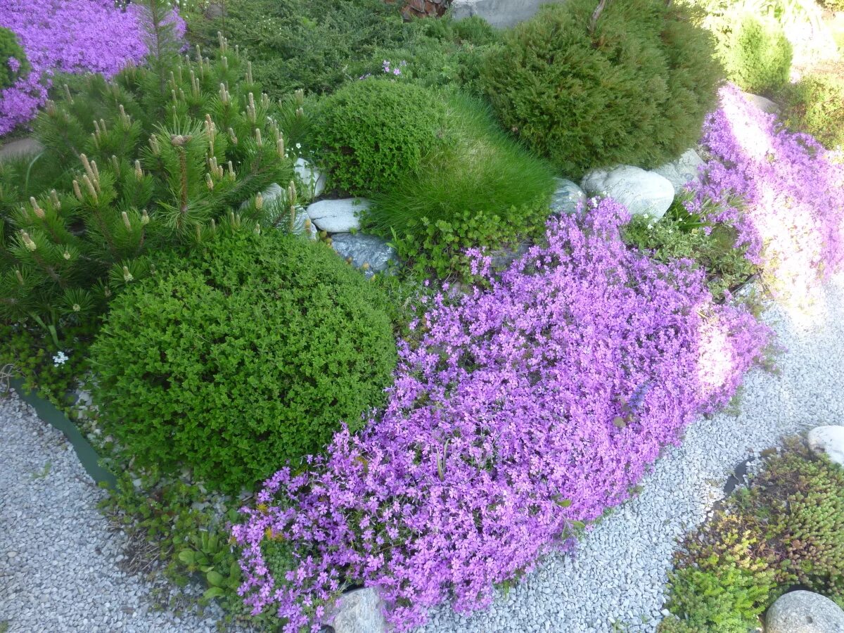 30 Shady Gardens Design Ideas to Refresh Your Home Air - Design & Decorating Sha