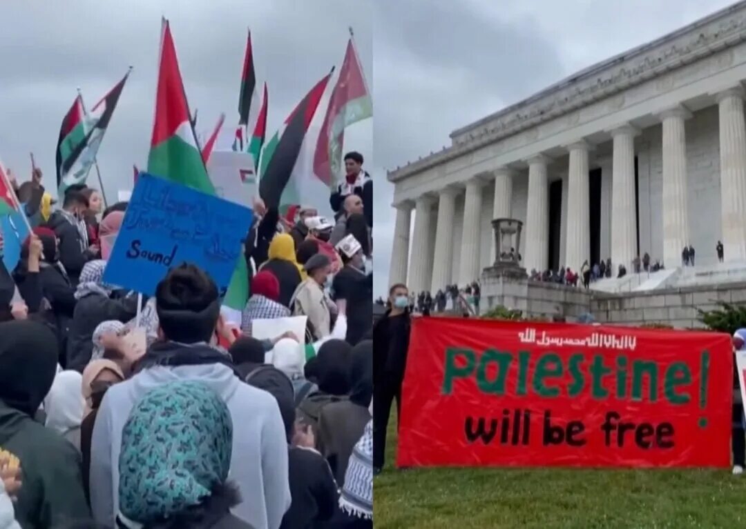 Митинги палестина