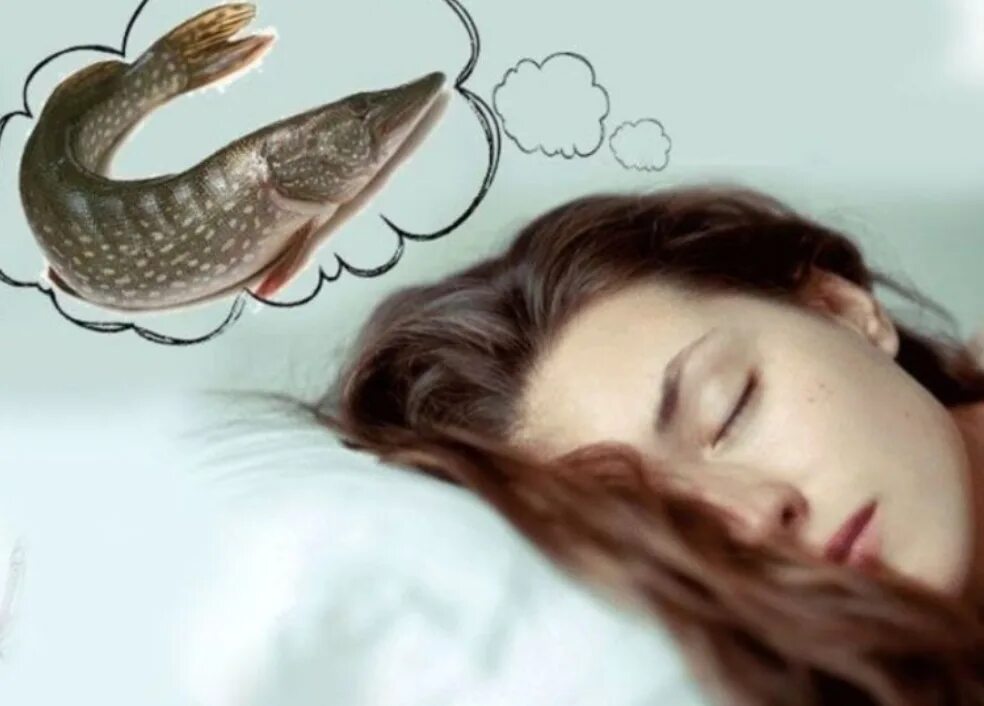 Догнать во сне. Снится рыба. К чему снится рыба во сне. Снится рыба женщине. Рыбки для сна.