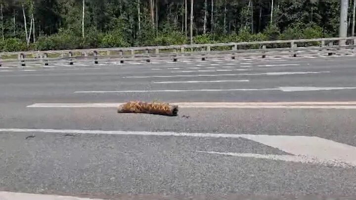 В каком районе сбили беспилотники. Сбитые украинские дроны. Сбили беспилотник сегодня. В Колпино сбили беспилотник. Беспилотник в Воронеже Воронеже сбили.