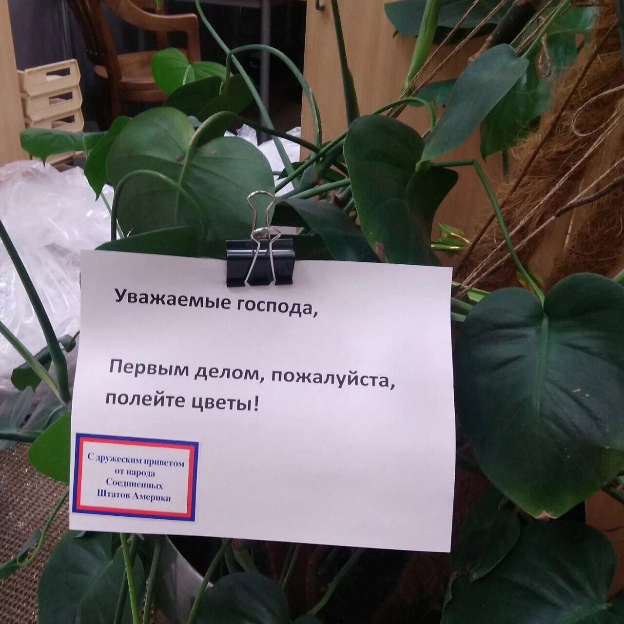 Записки переехавшего. Записка в цветах. Записка для цветов. Объявление цветы не поливать. Цветы с запиской.