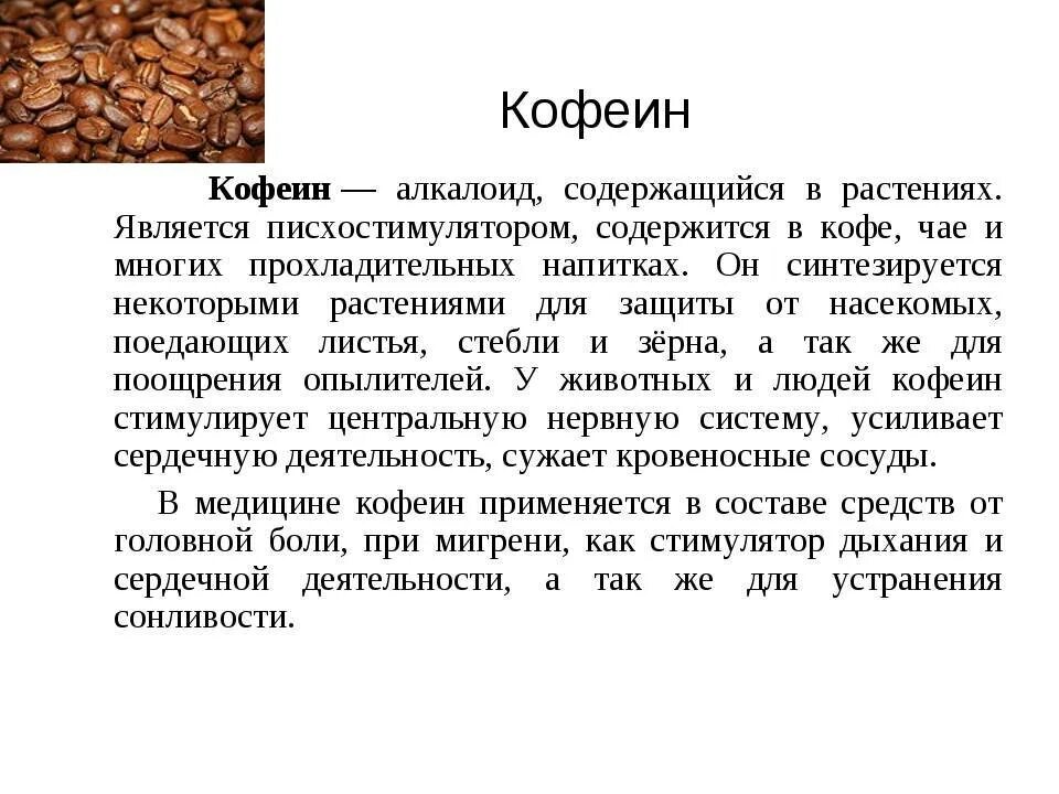 Плоды которые содержат много кофеина