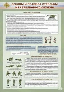 Основы стрельбы из стрелкового