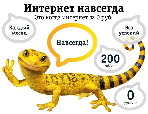 Билайн навсегда. Интернет навсегда. безлимитный интернет бесплатно навсегда. бесплатный интернет навсегда. бесплатный интернет билайн.