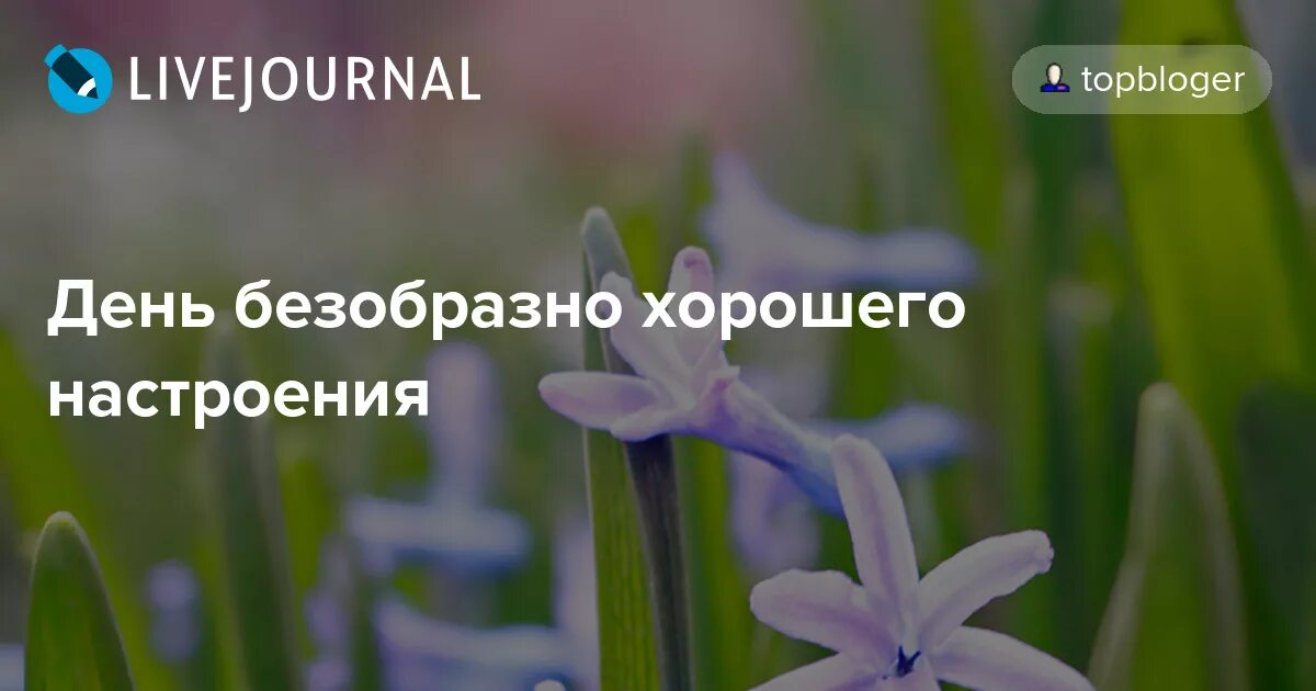 День безобразно хорошего настроения картинки прикольные. День безобразно хорошего настроения. День ьезобразно хорошего нпстроени. День безобразно хорошего настроения открытки.