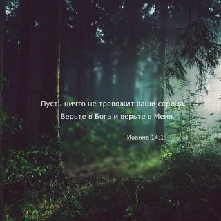 Пусть 12