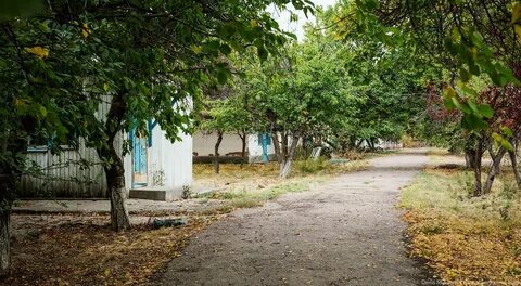 Поселок красногорский оренбургская область