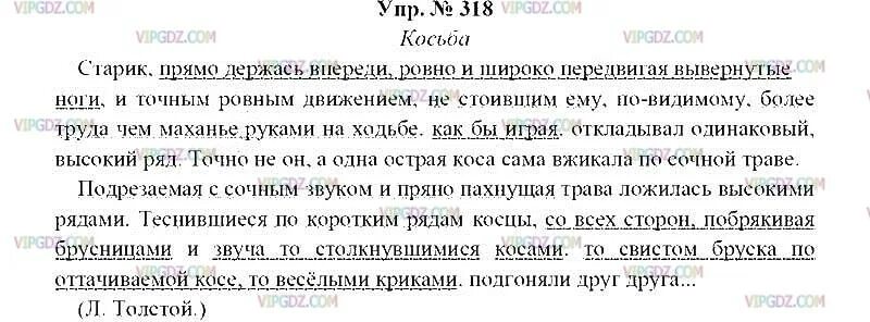 Русский 8 класс номер 318. Русский язык 8 класс ладыженская 318. Русский язык 8 класс ладыженская упражнение 318.