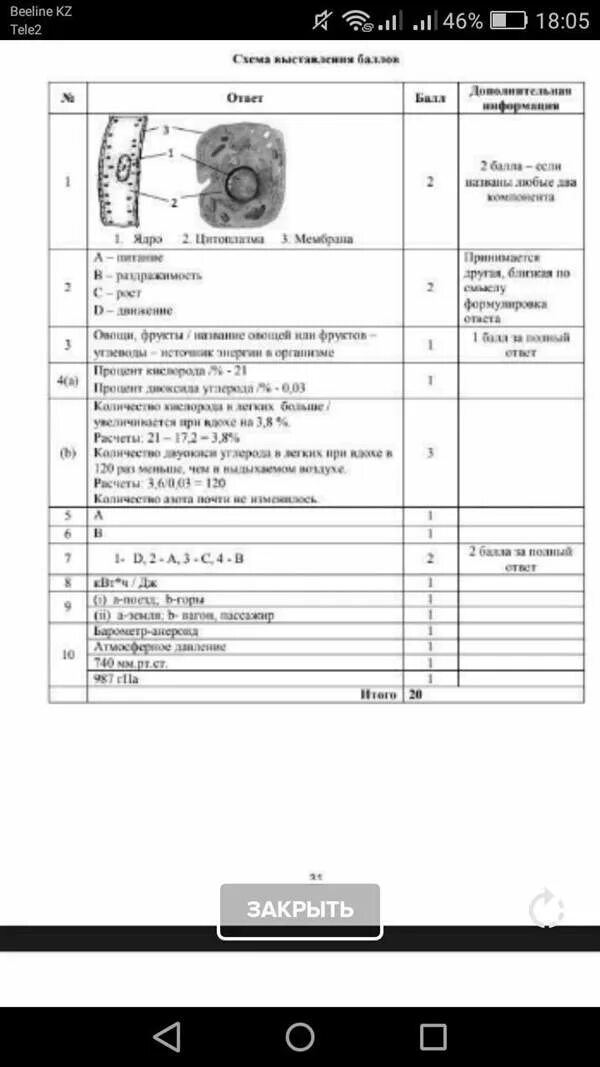 Соч по биологии. Соч по биологии 7 класс 3 четверть. биология соч 11 класс четверть. соч по биологии 8 класс 3 четверть. соч по биологии 7 класс за 3 четверть ответы.