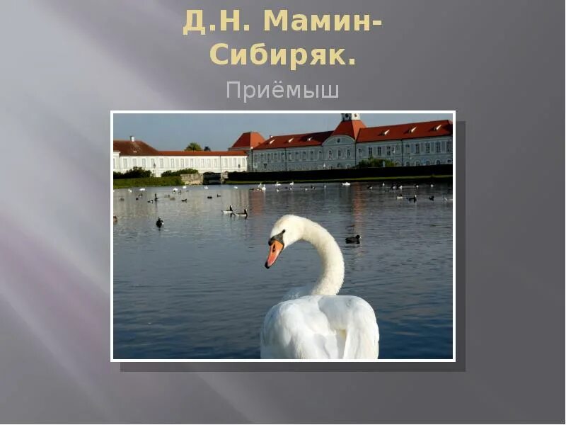 Д мамин сибиряк приемыш ответы. Приёмыш мамин Сибиря лебедь. Д мамин-Сибиряк приёмыш. Сибиряк приемыш. Мамин-Сибиряк приёмыш лебедь.