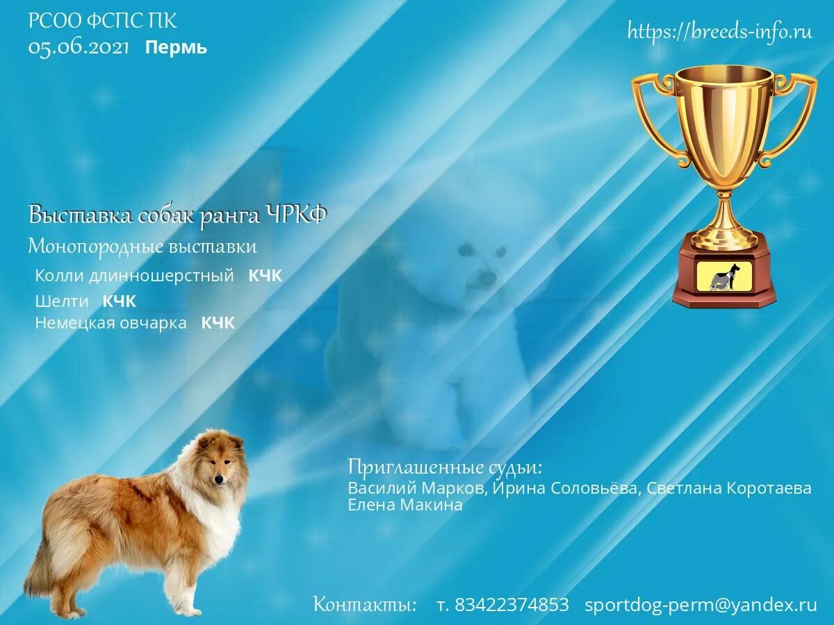 Выставка собак график. Выставка собак пермь 2025.