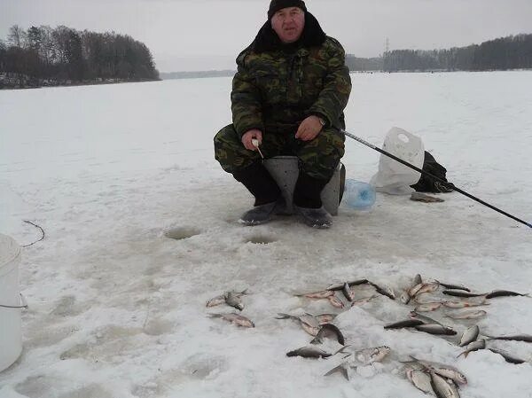 Где можно порыбачить на Истринском водохранилище летом и зимой LoviTut.ru (Рыбал