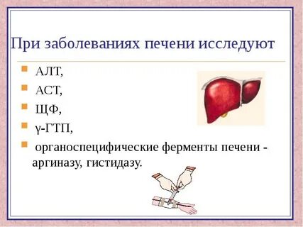 Тест ферментов печени