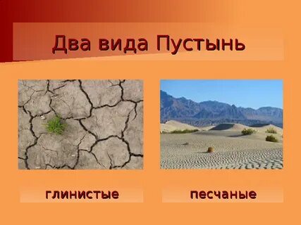 Тема пустыня 4 класс